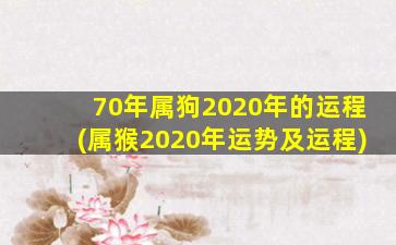 70年属狗2020年的运程(属猴2020年运势及运程)