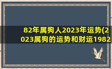 82年属狗人2023年运势(202