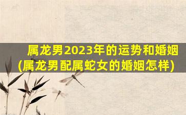 属龙男2023年的运势和婚