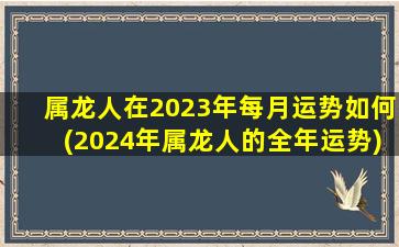 属龙人在2023年每月运势