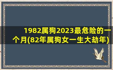 1982属狗2023最危险的一个