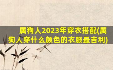 属狗人2023年穿衣搭配(属