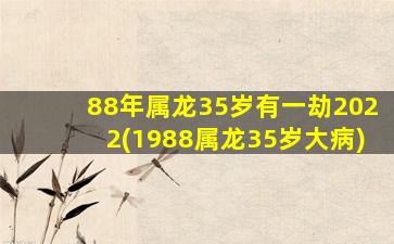 88年属龙35岁有一劫2022(1988属龙35岁大病)