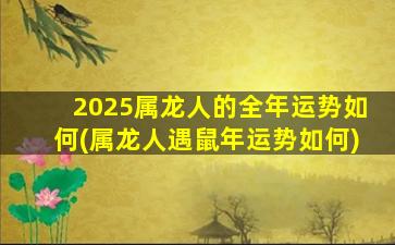 2025属龙人的全年运势如何