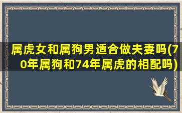 属虎女和属狗男适合做夫妻吗(70年属狗和74年属虎的相配吗)