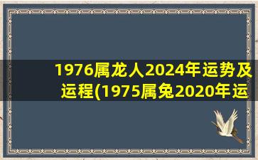 1976属龙人2024年运势及运程(1975属兔2020年运势及运程)