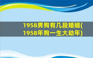 1958男狗有几段婚姻(195