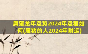 属猪龙年运势2024年运程如何(属猪的人2024年财运)