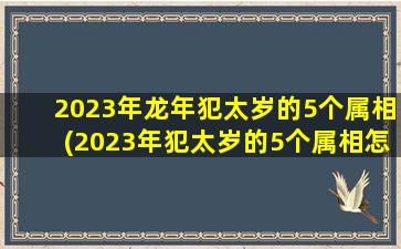 2023年龙年犯太岁的5个属相(2023年犯太岁的5个属相怎么化解)