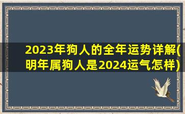 2023年狗人的全年运势详解(明年属狗人是2024运气怎样)