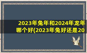 2023年兔年和2024年龙年哪个好(2023年兔好还是2024年龙宝宝好)