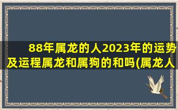 88年属龙的人2023年的运势及运程属龙和属狗的和吗(属龙人2019年下半年运势)