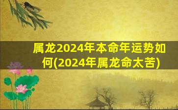 属龙2024年本命年运势如何(2024年属龙命太苦)