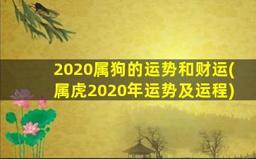 2020属狗的运势和财运(属