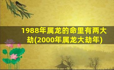 1988年属龙的命里有两大劫(2000年属龙大劫年)