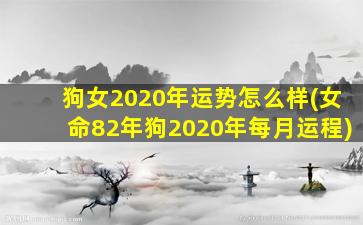 狗女2020年运势怎么样(女命