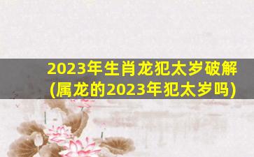 2023年生肖龙犯太岁破解(属龙的2023年犯太岁吗)