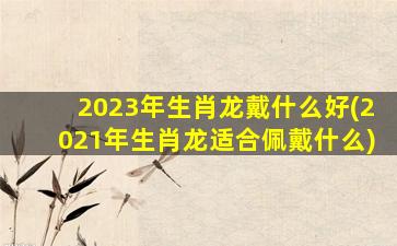 2023年生肖龙戴什么好(