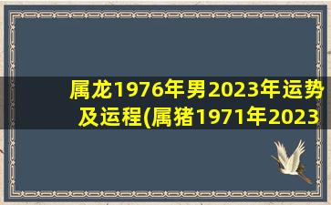 属龙1976年男2023年运势及