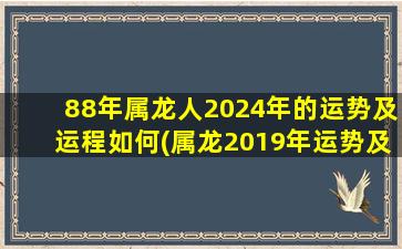 88年属龙人2024年的运势及