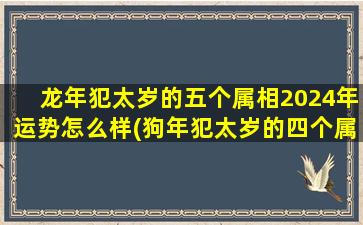 龙年犯太岁的五个属相2