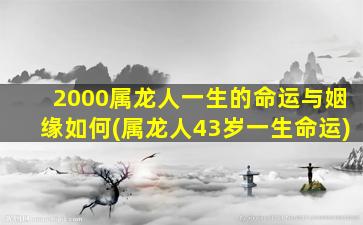 2000属龙人一生的命运与