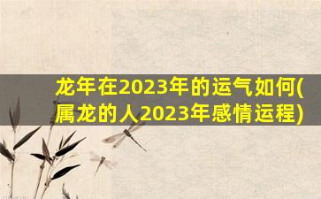 龙年在2023年的运气如何(属龙的人2023年感情运程)