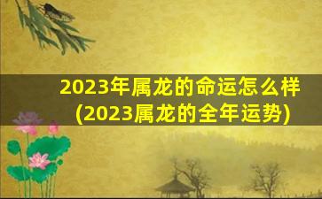 2023年属龙的命运怎么样