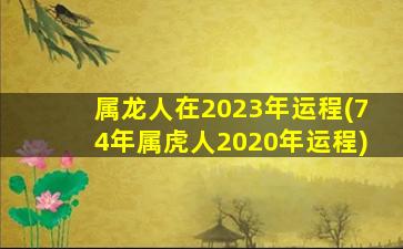 属龙人在2023年运程(74年