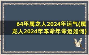 64年属龙人2024年运气(属