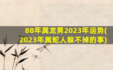 88年属龙男2023年运势(202