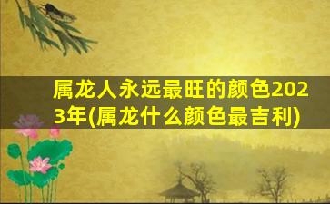 属龙人永远最旺的颜色2023年(属龙什么颜色最吉利)