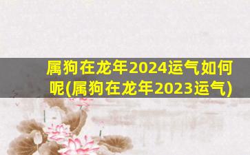 属狗在龙年2024运气如何