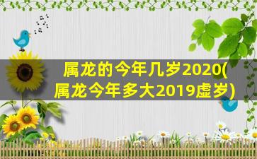 属龙的今年几岁2020(属龙今