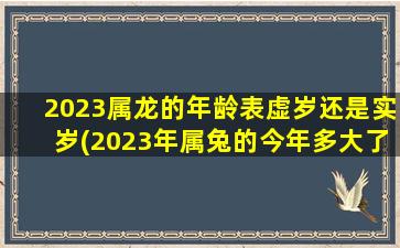 2023属龙的年龄表虚岁还