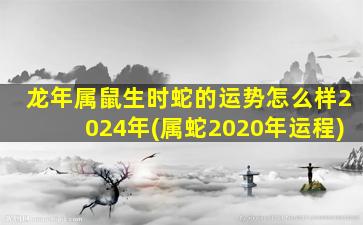 龙年属鼠生时蛇的运势怎么样2024年(属蛇2020年运程)