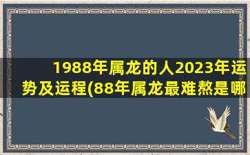 1988年属龙的人2023年运势及