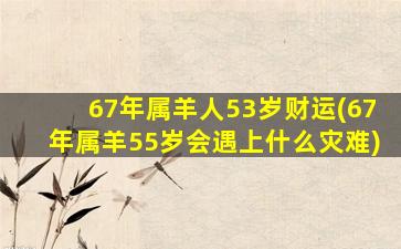 67年属羊人53岁财运(67年