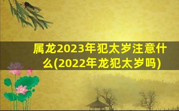 属龙2023年犯太岁注意什