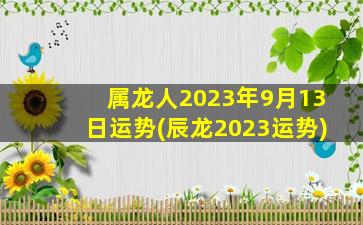 属龙人2023年9月13日运势