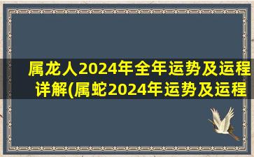 属龙人2024年全年运势及运程详解(属蛇2024年运势及运程每月运程)