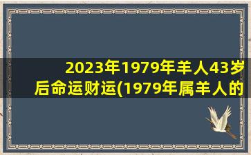 <strong>2023年1979年羊人43岁后命</strong>