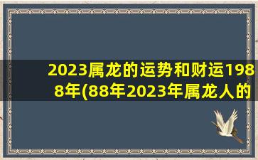 2023属龙的运势和财运1