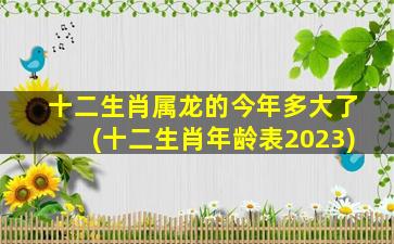 十二生肖属龙的今年多大