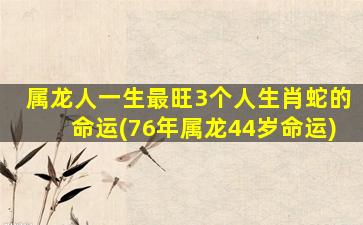 属龙人一生最旺3个人生肖蛇的命运(76年属龙44岁命运)