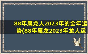 88年属龙人2023年的全年运