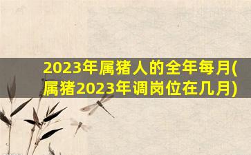 2023年属猪人的全年每月