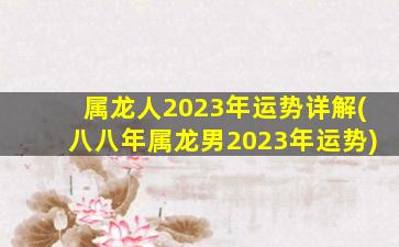 属龙人2023年运势详解(八