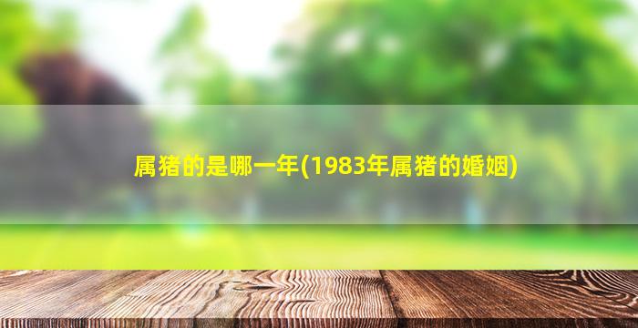 属猪的是哪一年(1983年属