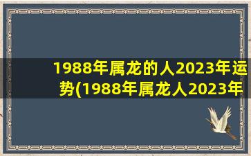 <strong>1988年属龙的人2023年运势</strong>